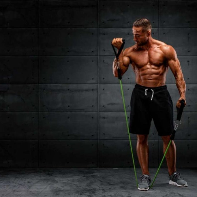 RESISTANCE BAND TRAINING BUNDLE